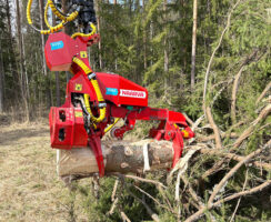 Naarva S35C sykeharvesteri karsii paksua runkoa